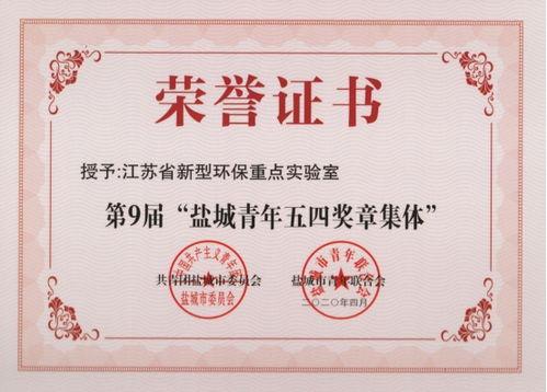 盐城环保最新爆料,揭秘污染真相与治理进展